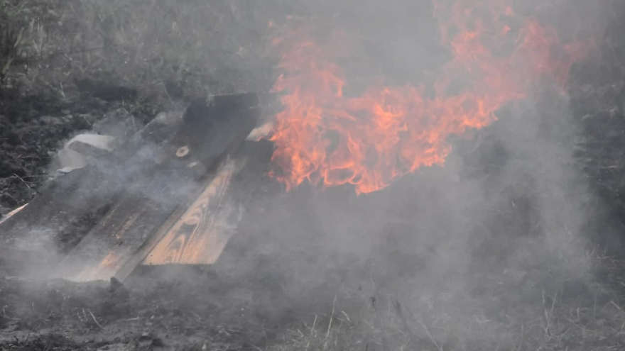 В Саратовской области вспыхнули два лесных пожара: на тушение приехали 24 огнеборца