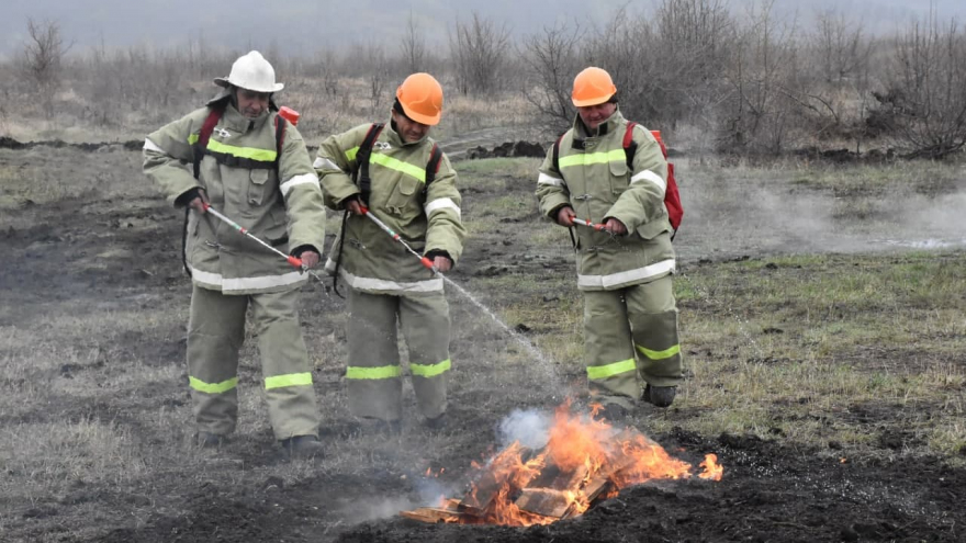 В Саратовской области вспыхнули два лесных пожара: на тушение приехали 24 огнеборца