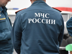 В Саратовской области вспыхнули два лесных пожара: на тушение приехали 24 огнеборца