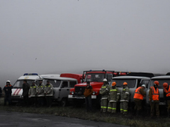 В Саратовской области вспыхнули два лесных пожара: на тушение приехали 24 огнеборца
