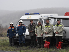 В Саратовской области вспыхнули два лесных пожара: на тушение приехали 24 огнеборца