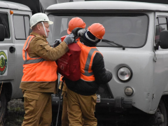 В Саратовской области вспыхнули два лесных пожара: на тушение приехали 24 огнеборца