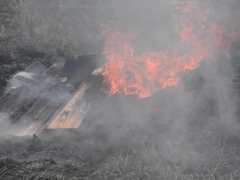 В Саратовской области вспыхнули два лесных пожара: на тушение приехали 24 огнеборца