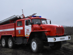 В Саратовской области вспыхнули два лесных пожара: на тушение приехали 24 огнеборца