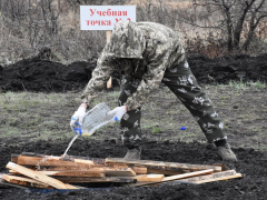 В Саратовской области вспыхнули два лесных пожара: на тушение приехали 24 огнеборца