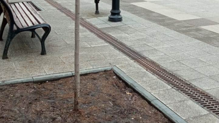 Мэрия: участники незаконного митинга в поддержку Навального украли урну, вытоптали газон и разрисовали областную Доску почета