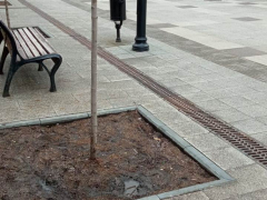 Мэрия: участники незаконного митинга в поддержку Навального украли урну, вытоптали газон и разрисовали областную Доску почета