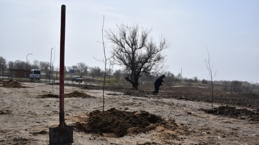 В Парке покорителей космоса высадили дубы