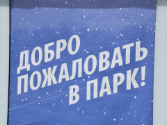 В Парке покорителей космоса высадили дубы