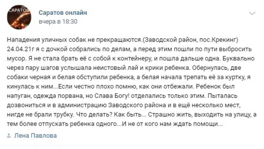 Ребенок напуган, одежда порвана: следователи заинтересовались историей о нападении собак на девочку в Саратове