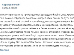 Ребенок напуган, одежда порвана: следователи заинтересовались историей о нападении собак на девочку в Саратове