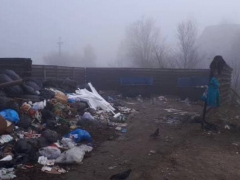 Жители поселка Соколовый возмутились несанкционированной свалке: граждане утверждают, что администрация не реагирует на проблему