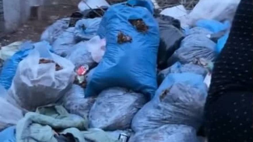 Танцующие девушки, акробаты, Веном, разноцветный пар: циркачи устроили шоу на фоне саратовской свалки