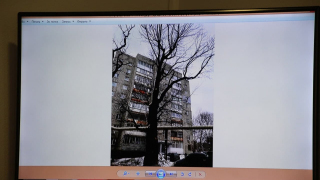 Спилили все нормальные ветки, оставили сухие: в Саратове испортили столетние дубы