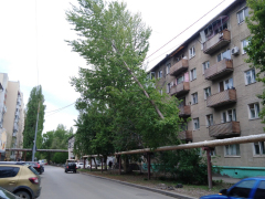 Жители Заводского района опасаются трагедии: на улице Пономарева дерево угрожает пешеходам и водителям