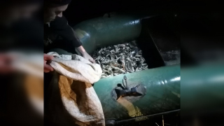 Под Саратовом у браконьеров забрали больше 400 раков: животных вернули в реку