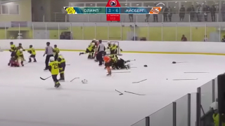 В Саратове юные хоккеисты устроили массовую драку на льду (видео)