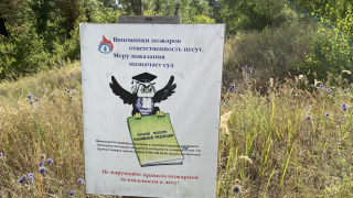 Угроза лесных пожаров: с начала года в регионе оштрафовали почти сто нарушителей