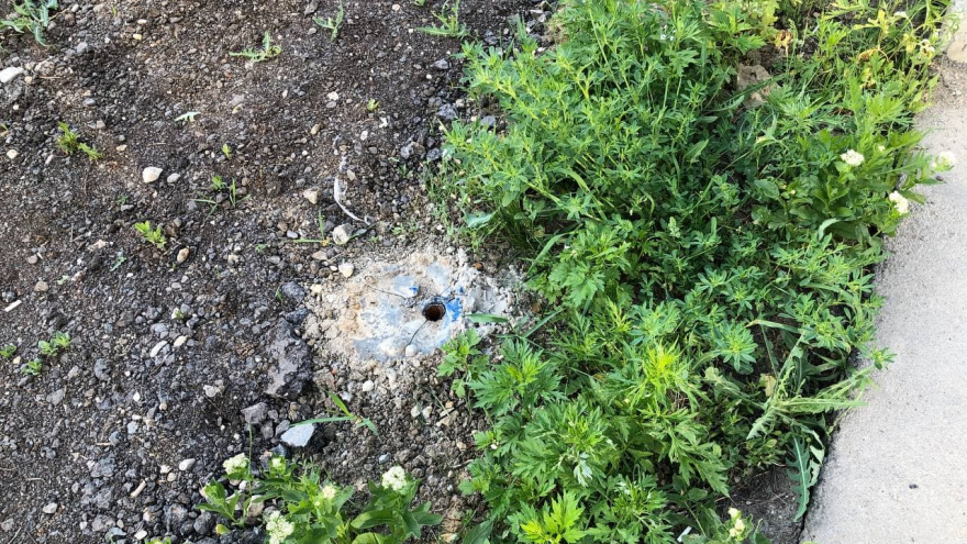 В Солнечном с незаконной стоянки снесли забор