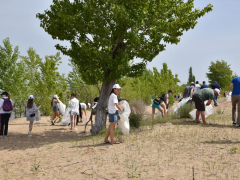 Сможем передать область потомкам: волонтеры, чиновники и звезда Уральских пельменей навели порядок на саратовском пляже