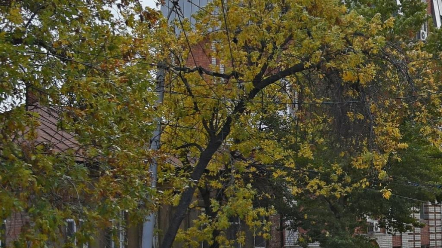 Чиновники передумали сносить 104-летний аварийный дом в центре Саратова: вместо этого здание реконструируют