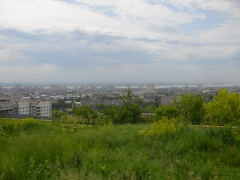 В Саратове устроили соревнования по стрельбе: победителям разрешат убивать косуль и кабанов