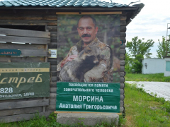 В Саратове устроили соревнования по стрельбе: победителям разрешат убивать косуль и кабанов