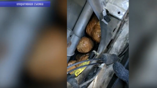 Под Саратовом силовики задержали пару, которая поставляла наркотики в 10 регионов: изъято более 20 килограммов запрещенных веществ