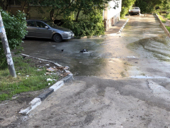 В Солнечном из-под асфальта второй день хлещет вода: коммунальную реку облюбовали голуби