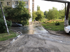 В Солнечном из-под асфальта второй день хлещет вода: коммунальную реку облюбовали голуби