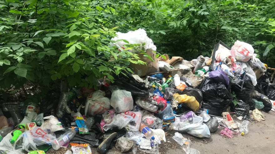 В Саратове у здания администрации появилась стихийная свалка