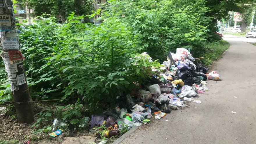 В Саратове у здания администрации появилась стихийная свалка