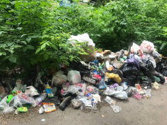 В Саратове у здания администрации появилась стихийная свалка