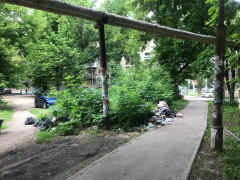 В Саратове у здания администрации появилась стихийная свалка