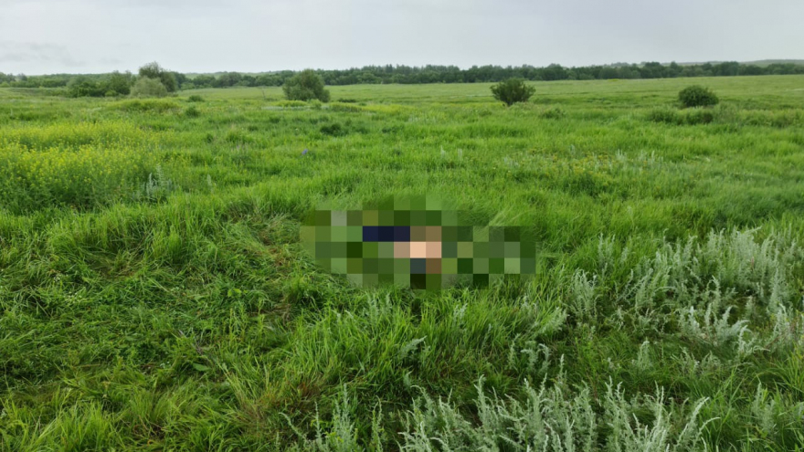 В поле грибники нашли мертвеца