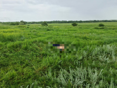 В поле грибники нашли мертвеца