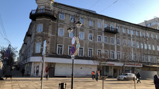 В мэрии Саратова назвали предварительную причину гибели саженцев в центре города
