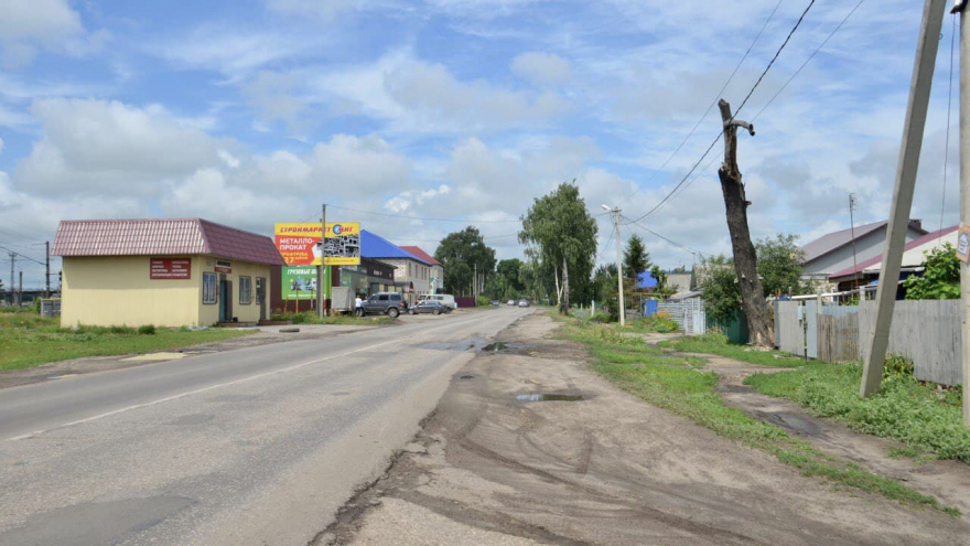 Ремонт детских площадок и дорог, отсутствие зебр, бродячие собаки: жители Ртищева дали наказы депутату Андрею Воробьеву