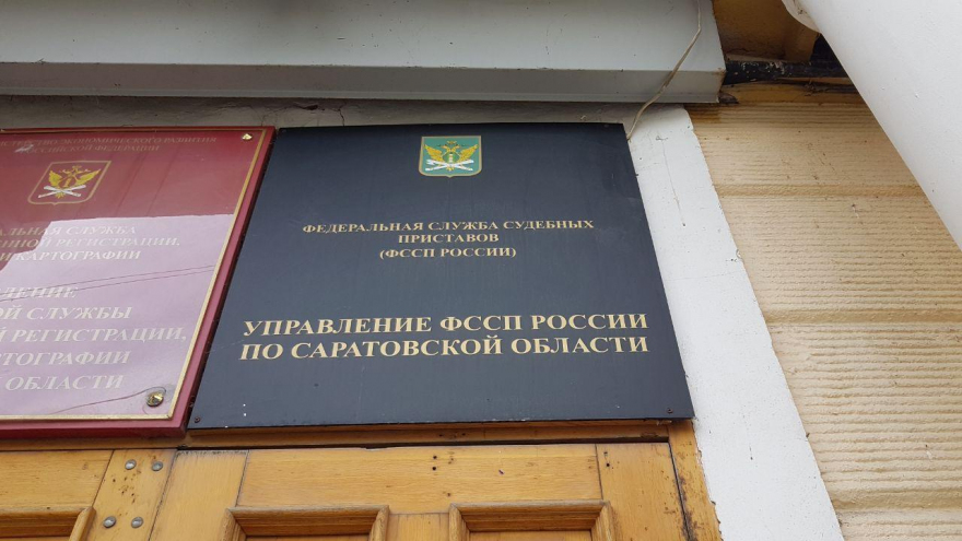 В Саратовской области браконьер застрелил лося: решение суда