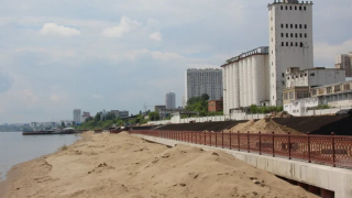 На новый саратовский пляж не пустят отдыхающих с животными