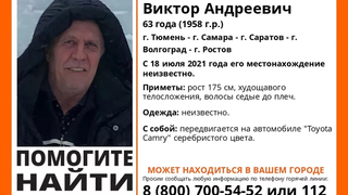 В Саратове прекратили поиск длинноволосого пенсионера на Toyota Camry 