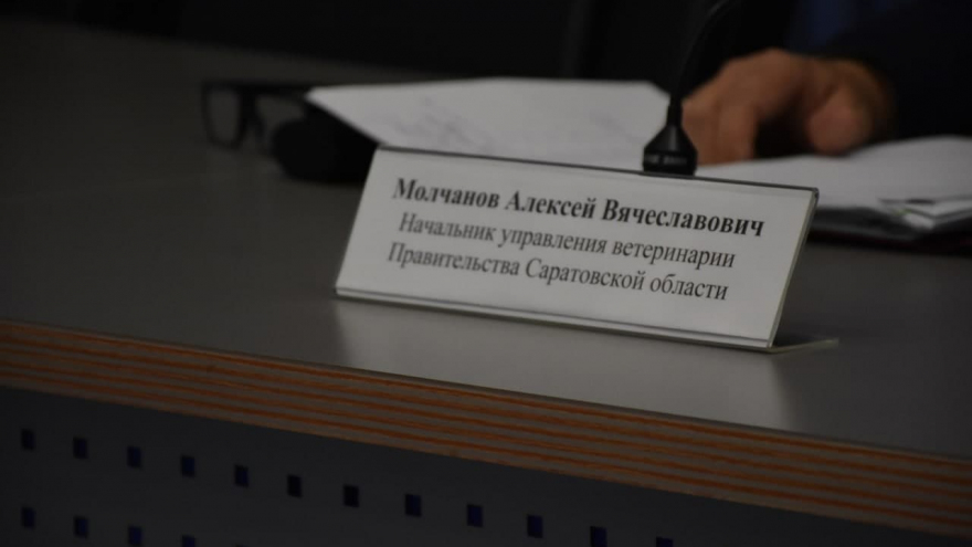 Чиновник: в Саратовской области с начала года зарегистрировали 68 случаев бешенства