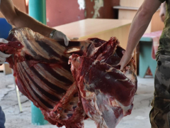 В саратовской мечети бесплатно раздавали мясо баранов и коров: мусульмане рассказали, почему им это важно
