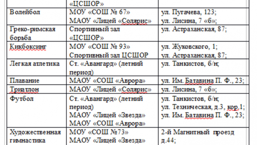 Парусный спорт, пауэрлифтинг, футбол: список спортивных секций в Саратове, где дети занимаются бесплатно