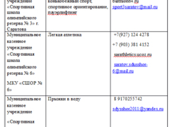 Парусный спорт, пауэрлифтинг, футбол: список спортивных секций в Саратове, где дети занимаются бесплатно