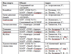 Парусный спорт, пауэрлифтинг, футбол: список спортивных секций в Саратове, где дети занимаются бесплатно