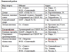Парусный спорт, пауэрлифтинг, футбол: список спортивных секций в Саратове, где дети занимаются бесплатно