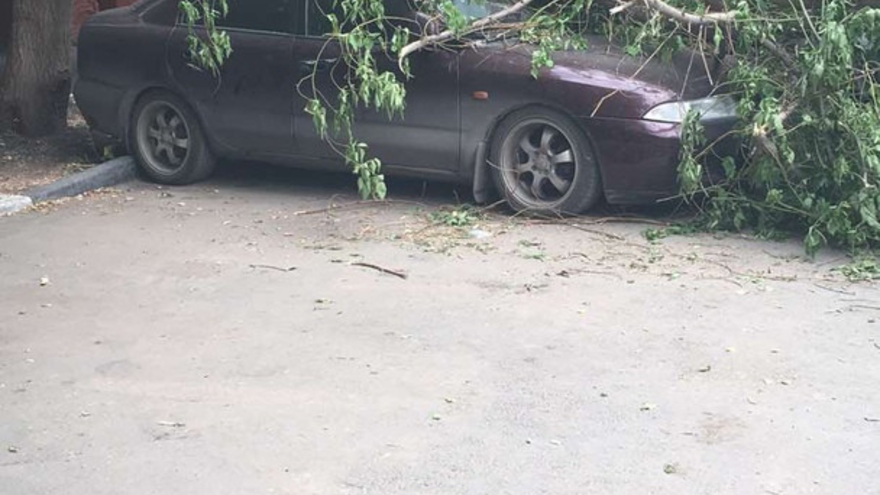Поваленные деревья, разрушенные крыши, оборванные провода: от ночного урагана пострадали пять районов Саратовской области