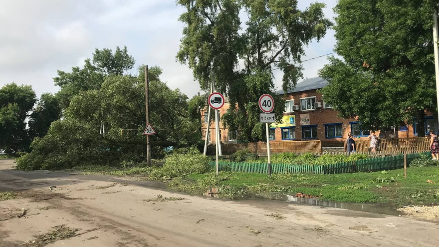 Поваленные деревья, разрушенные крыши, оборванные провода: от ночного урагана пострадали пять районов Саратовской области