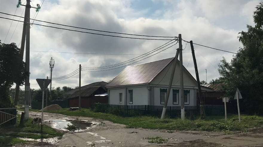 Поваленные деревья, разрушенные крыши, оборванные провода: от ночного урагана пострадали пять районов Саратовской области